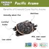 Emerald Cove Pacific Arame, Dried Seaweed, Non-GMO, Resealable Bag, 1.76 oz (6 pk) view 2