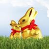 Lindt GOLD BUNNY Basket 3.5 Ounce view 2