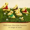 Lindt GOLD BUNNY Basket 3.5 Ounce view 4