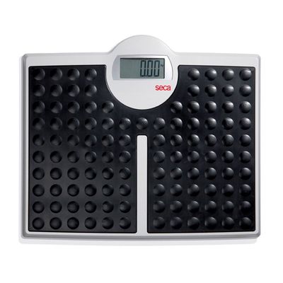 seca 813 - High Capacity Digital Flat Scale for Individual Patient use
