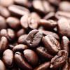 Zavida Premium Hazelnut Vanilla Whole Bean Coffee, 2 LB view 4
