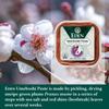Eden Umeboshi Paste, Pickled Ume Plum Puree, Artisan Made in Japan, No MSG, No Chemical Additives, 7oz view 3