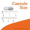 NOW Supplements, Acetyl-L Carnitine 500 mg, Amino Acid, Brain And Nerve Cell Function*, 100 Veg Capsules view 3