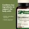 Standard Process Collinsonia Root - Healthy Vascular Tissue Support Supplement - Bladder & Kidney Health Supplement with Collinsonia Root - Supplement to Aid Digestive Health - 150 Capsules view 4