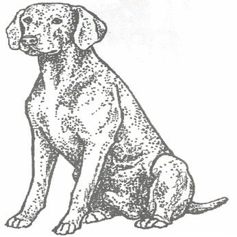 Dog Rubber Stamp - Weimaraner-3E (Size: 1-1/4" Wide X 2-1/4" Tall)