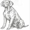 Dog Rubber Stamp - Weimaraner-3E (Size: 1-1/4" Wide X 2-1/4" Tall) view 1