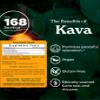Organic Kava Root Liquid Extract for Stress Support & Relaxation: Vegan Kava Extract, Non-GMO Kava Kava Tincture for Calm & Relaxed Mood, Gluten-Free, 4 Oz | Up to 3 Months Supply view 2