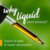 Herb Pharm Certified Organic Fenugreek Liquid Extract for Female Reproductive Support - 4 Ounce view 3
