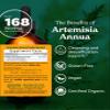 Herb Pharm Certified Organic Artemisia Annua (Sweet Annie) Liquid Extract - 4 Ounce view 2