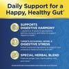 Renew Life IntestiNew Intestinal Lining Support Formula, Powder Supplement Supports Digestive Health, L-Glutamine, Dairy, Soy and gluten-free, 5.7 oz. view 3