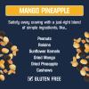 Kars Nuts Unsalted Mango Pineapple Trail Mix, 1.5 oz  Grab & Go Bags, Individual Snack Packs (Pack of 72), Gluten-Free Trail Mix Snack view 3