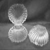 12 Medium Plastic Shell Candy Boxes Favors Clear Blue view 3