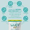 Designer Wellness, Designer Whey, Natural When Protein Powder with Probiotics, Fiber, and Key B-Vitamins for Energy, Gluten-Free, French Vanilla, 4 lb view 4