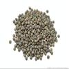 Sabarot French Green Lentils from Le Puy - 500g view 2