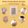 Cheezheng Pain Relieving Patch, Suitable for Back, Neck, Shoulder, Knee Pain, Muscle Soreness, for The Temporary Relief of Minor Pain. Tibetan Medicine Natural Herbs Plaster (1 Box (5 Patches)) view 2