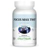 Focusmax Nootropic Brain Supplement for Memory, Focus & Mood Support  Methylated B12, Ginkgo Biloba, Phosphatidylserine, Acetyl-L-Carnitine  Mental Clarity & Energy  60 Vegetarian Capsules view 1