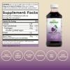 Dynamic Health Pure Black Cherry Unsweetened 100% Juice Concentrate, No Additives or Preservatives, Antioxidant, 8oz (Packaging Varies) view 2