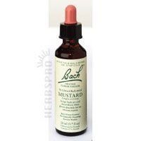 Bach Flower Mustard