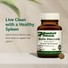 Standard Process Spleen Desiccated - Whole Food-Based Supplement to Support Spleen Health - Aid Healthy Immune System - Supplement with Proprietary Blend with Bovine & Ovine Spleen - 90 Tablets view 3