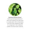 Gymnema Sylvestre-Liquid Extract, Alcohol Free, Gluten Free, Non-GMO, Dropper, Bottle- 1 oz view 4