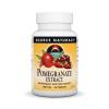 Source Naturals Pomegranate Extract 500mg Complete Whole Fruit Ellagic Acid Antioxidant & Added Fiber - 60 Tablets view 1