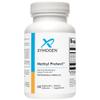 XYMOGEN Methyl Protect - Optimal Methylation Formula with Methyl Folate, Vitamin B12 (Methylcobalamin b12), Riboflavin + B6 Vitamins - Cognitive, Homocysteine + Heart Health Supplements (60 Capsules) view 1