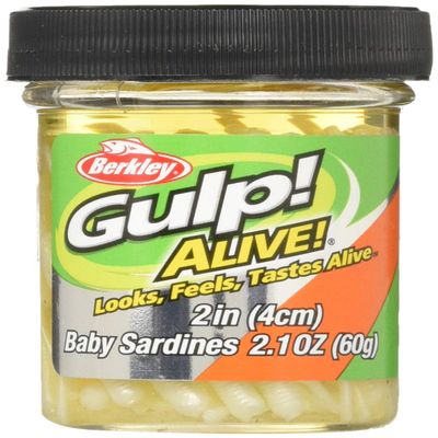 Berkley (Barkley garupu. Arrive Baby Sardine