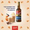 Coffee Syrup, Pumpkin Pie Flavored Syrup for Drinks, 25.4 Fl Oz view 4