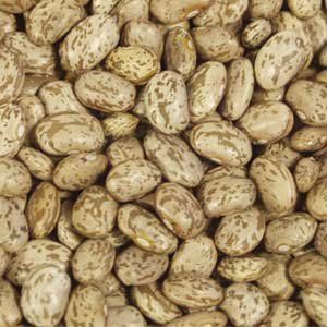 100% Organic Pinto Beans