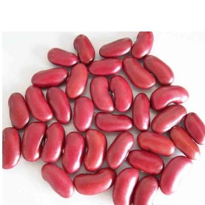 BULK Organic Red Kidney Bean, 1 LB