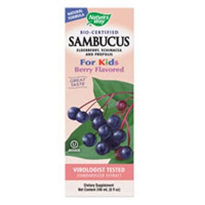 Natures Way Sambucus Kid Syrup Brry