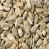 Bulk Seeds: Sunflower Seeds / Kernals Raw, 50 lbs. view 1
