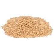 BULK GRAINS Amaranth Organic, 25 Pound
