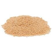 BULK GRAINS Amaranth Organic, 25 Pound