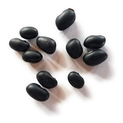 Bulk Beans, Bean Black Turtle, 25-Pound