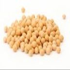 BULK BEANS Beans, Soy, Organic, 50-pounds (Pack of1)