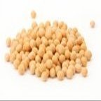 BULK BEANS Beans, Soy, Organic, 50-pounds (Pack of1)