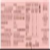 Pink Champagne Biscuit by Fossier view 2