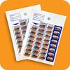 Medication Technologies MTS 31 1 PC Cold 5 Cases view 1