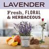 MRS. MEYER'S CLEAN DAY Automatic Dishwasher Pods, Lavender, 20 Count- Pack of 6 view 4