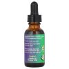 Flower Essence Services Fes Quintessentials Blackberry Supplement Dropper, 1 Ounce view 2