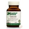 Standard Process Choline - Supports Healthy Fat Metabolism, Liver Health & Nervous System Function - Gluten-Free, Non-Dairy & Vegetarian -180 mg, 90 Tablets view 1