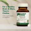 Standard Process Choline - Supports Healthy Fat Metabolism, Liver Health & Nervous System Function - Gluten-Free, Non-Dairy & Vegetarian -180 mg, 90 Tablets view 3