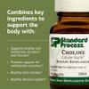 Standard Process Choline - Supports Healthy Fat Metabolism, Liver Health & Nervous System Function - Gluten-Free, Non-Dairy & Vegetarian -180 mg, 90 Tablets view 4