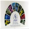 Flower Essence Services Healing Herbs Practitioner Kit, 40 Count view 1