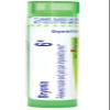 Boiron Bryonia 6X Homeopathic Medicine for Muscle & Joint Pain - 80 Pellets view 1