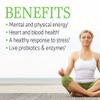Garden of Life Vitamin B Complex, 60 Vegan Capsules, High Potency Vitamins for Energy & Metabolism with B6, Folate & B12 as Methylcobalamin Plus Probiotics view 2