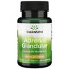 Swanson Adrenal Glandular 350 Milligrams 60 Capsules view 1
