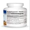 Planetary Herbals Full Spectrum Nopal Cactus 1000mg Prickly Pear Cactus Antioxidant - 100% Natural - 60 Tablets view 3