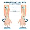 Rolyan Pronation & Supination Wheel, 2 Pound Weighted Wheel Training Device for Motor Control and Mobility, Hand & Arm Trainer for Forearm and Shoulder Surgery Recovery & Rehabilitation view 4